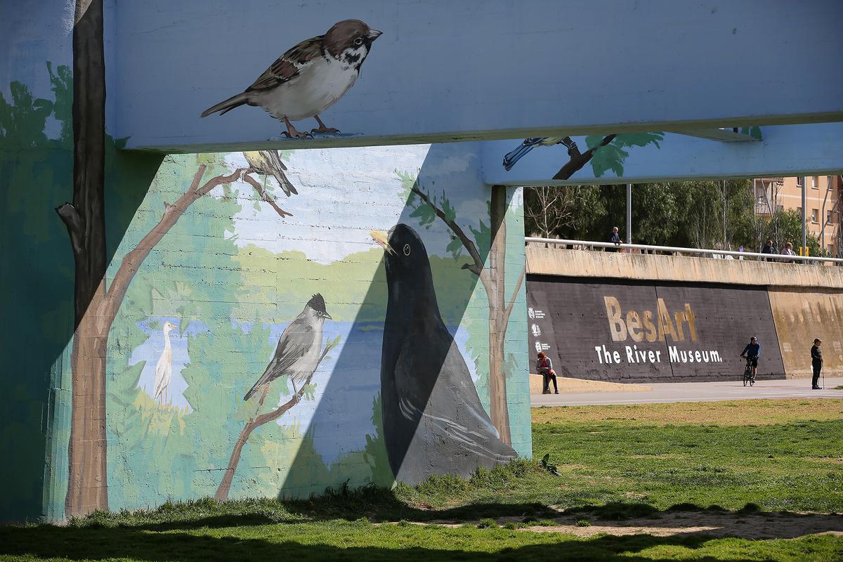 Museu BesArt, arte urbano en Santaco