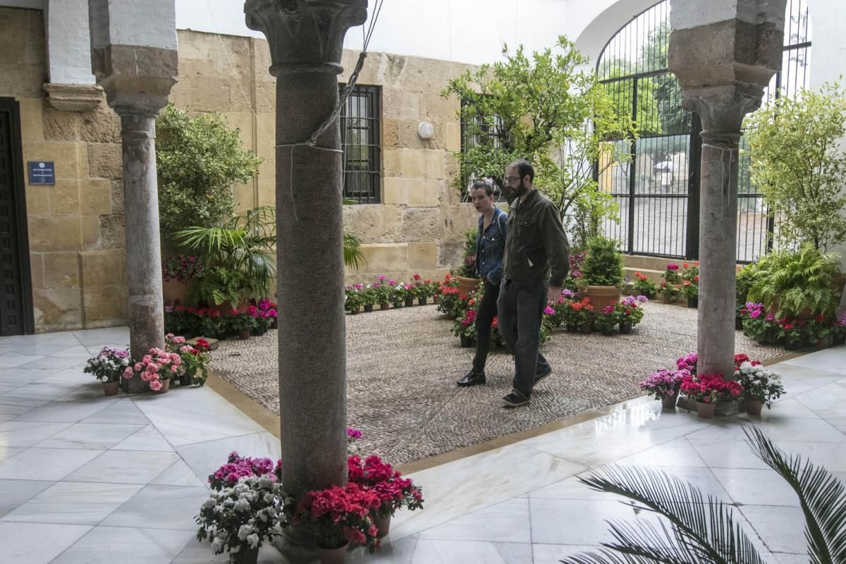 Fotogalería / Descubriendo los patios de la ruta del Realejo y San Andrés