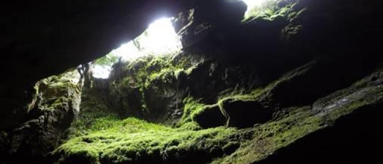 La Cueva del Alto se encuentra a unos 120 metros en línea recta de la sima en cuestión.