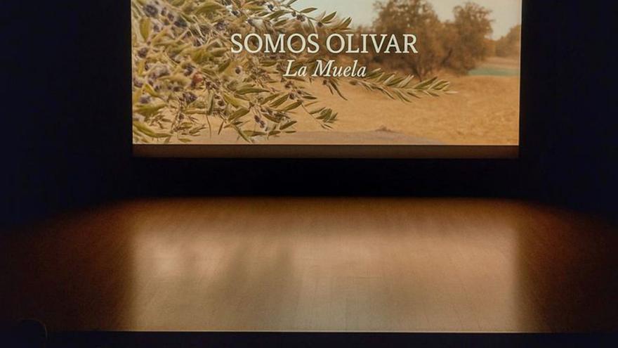 El documental se proyectó en la casa de cultura. | SERVICIO ESPECIAL