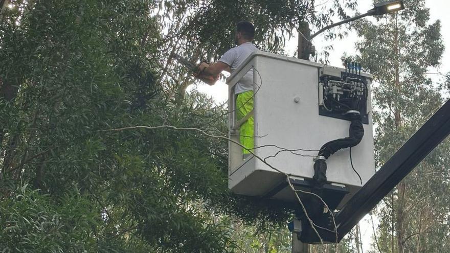 Un operario eliminando ramas peligrosas. |  FdV