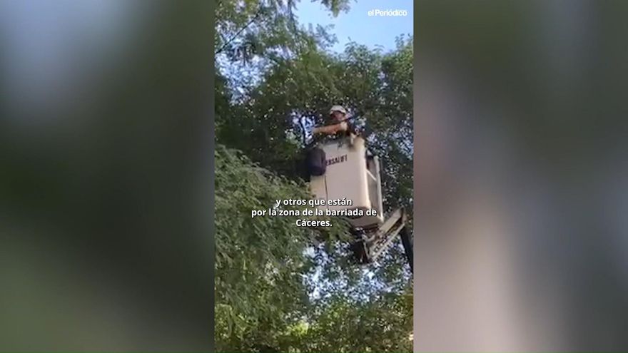A 24 grados y a dos meses vista, Cáceres comienza a instalar las luces de Navidad