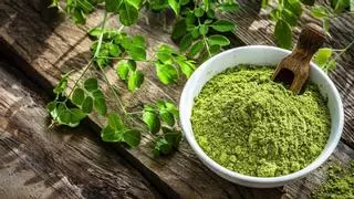 Beneficios de la moringa: Las 5 enfermedades que ayuda a tratar