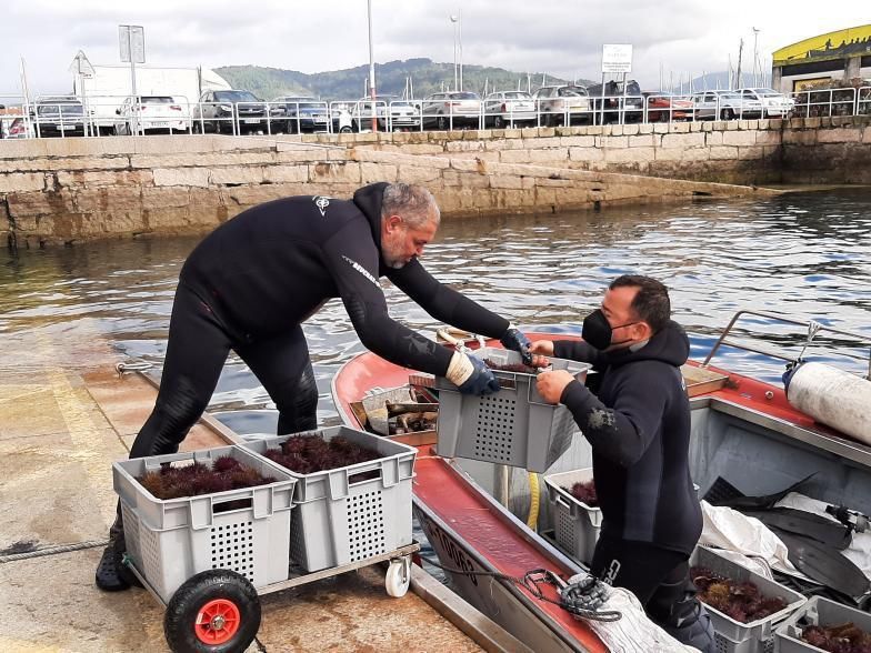 La tripulación del &quot;María&quot;, de Cangas, descarga ayer delante de la lonja canguesa.