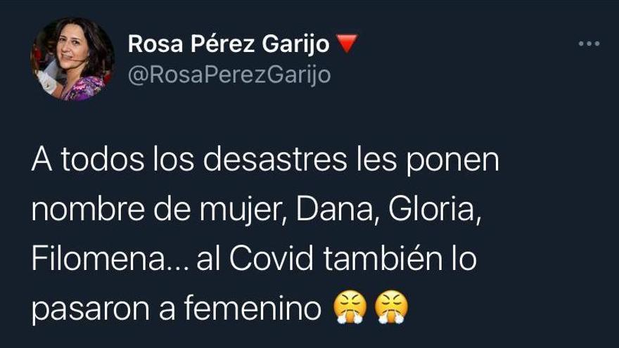 Pantallazo del mensaje, ya borrado en la cuenta persona de la consellera