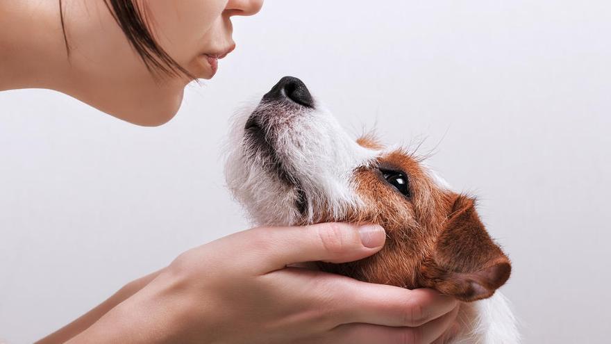 Una foto de un perro y cuidadora.