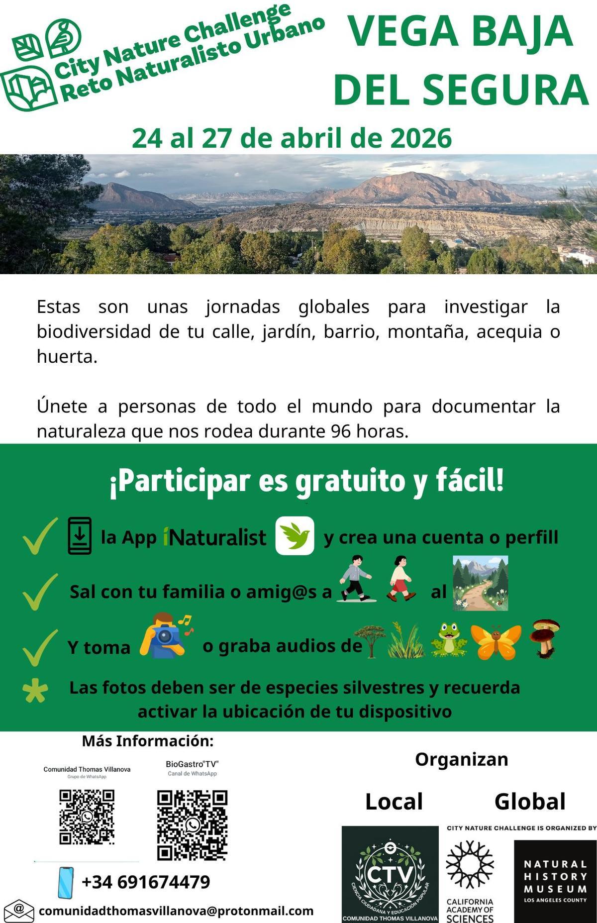 Cartel de la actividad