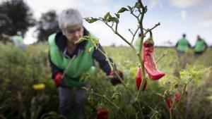 Catalunya podria beure durant tres anys de l’aigua malgastada
