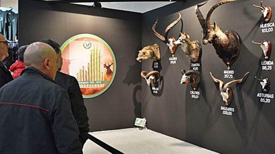 Un grupo de personas observa trofeos en la Feria de Caza de Madrid, entre otros de lobo cazado en Zamora.