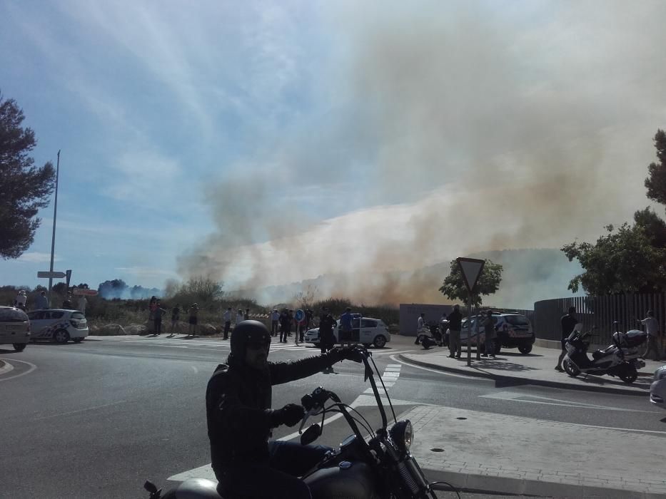 Alarma en Magaluf por un incendio en un descampado