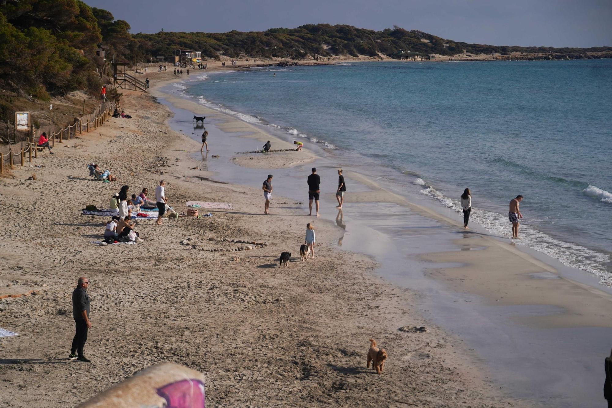 Todas las imágenes del día de Navidad en las playas de Ibiza