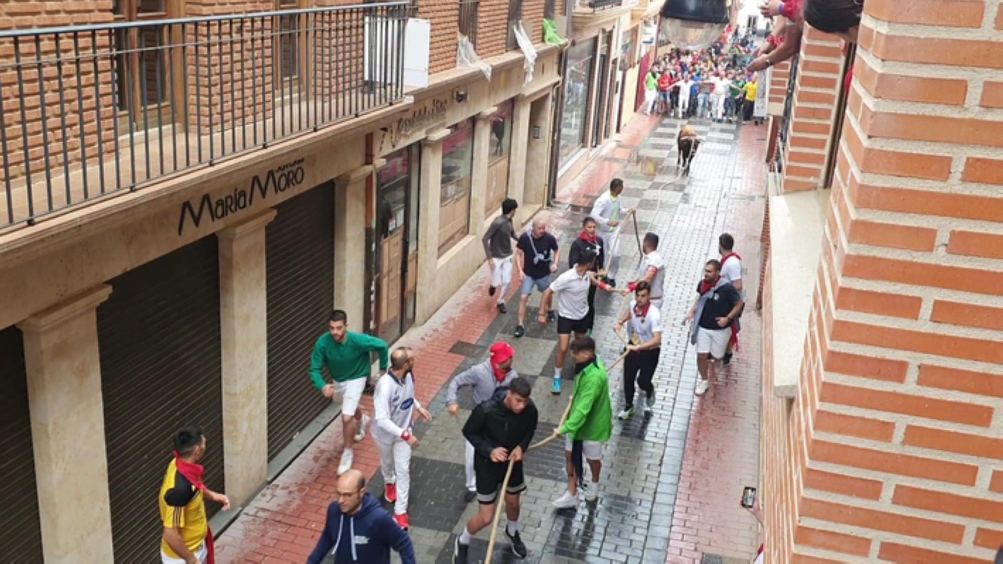 Fiestas del Toro en Benavente: El torito Berrón completa el recorrido en 26 minutos