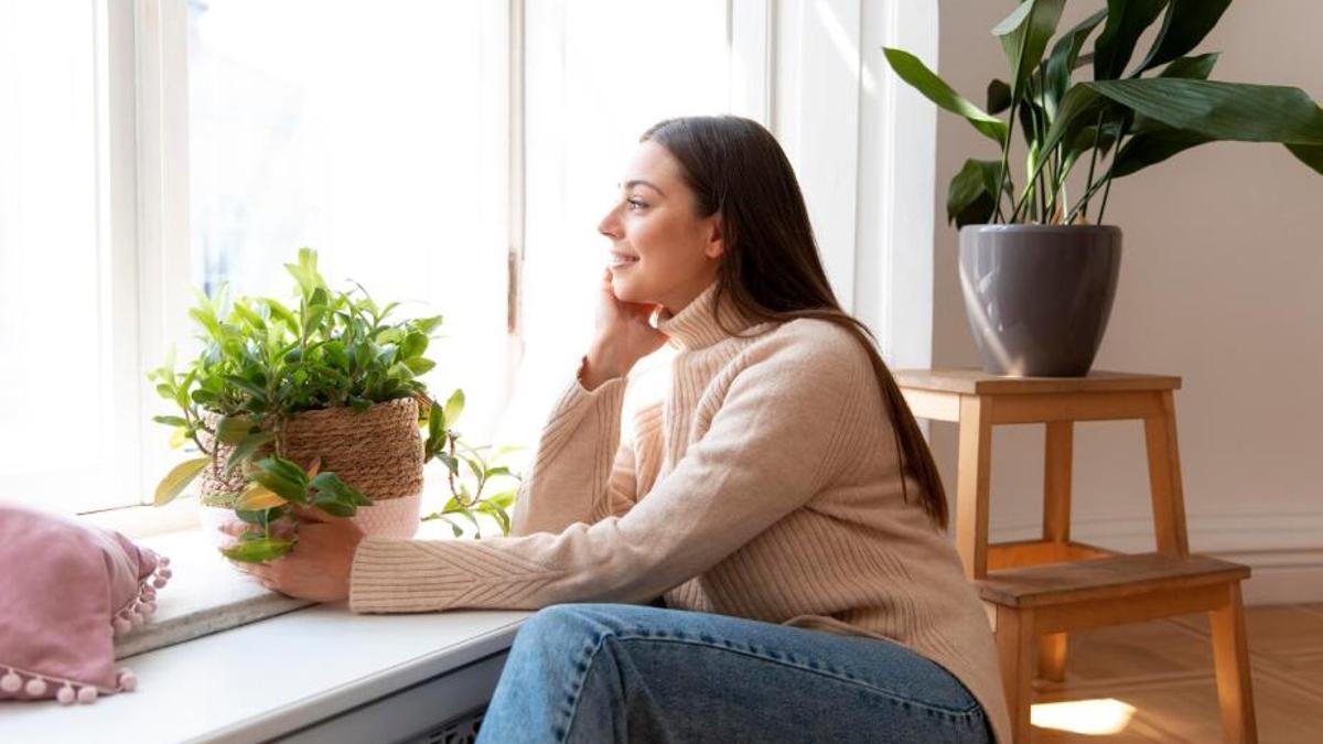 Les plantes que t'ajudaran a purificar l'aire de la teva llar