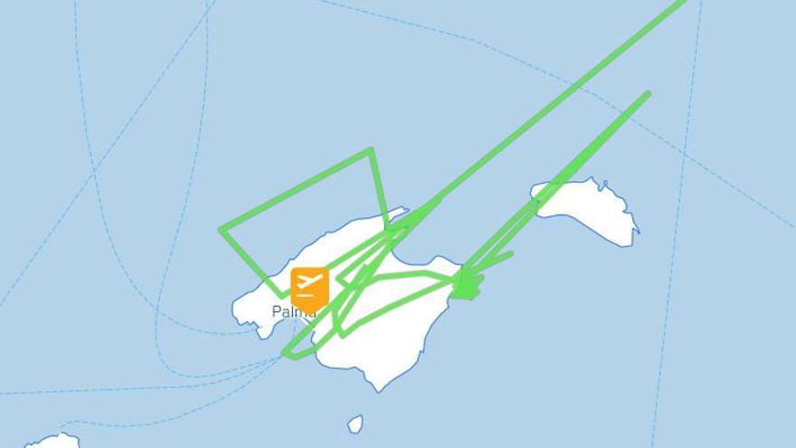 Vogelschlag – Eurowings-Maschine muss kurz nach dem Start zurück an den Flughafen Mallorca