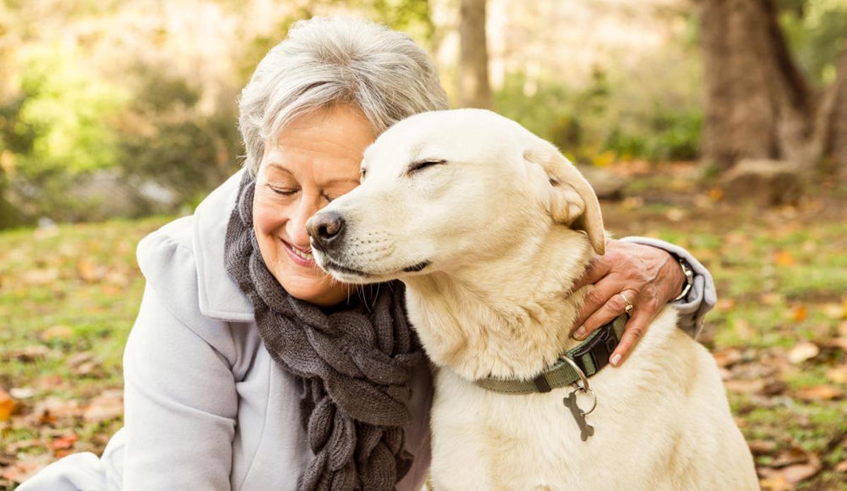 Las mascotas ayudan a los mayores a lidiar con problemas de salud