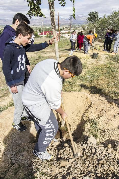 Proyecto para convertir la cantera de Cox en zona verde