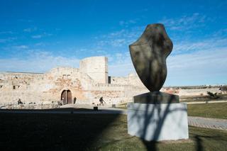 El Ayuntamiento de Zamora cuenta con Enrique Bonet para el futuro museo de Lobo