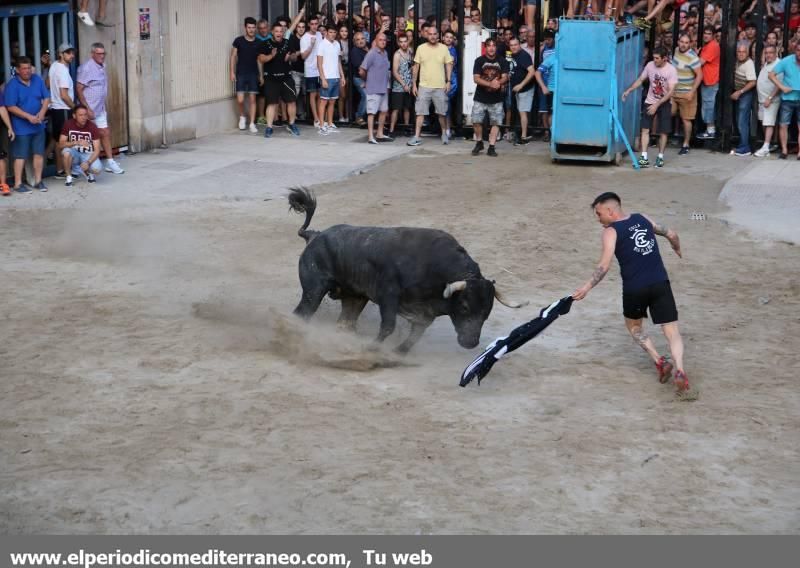 Fiestas de Sant Pere 2018