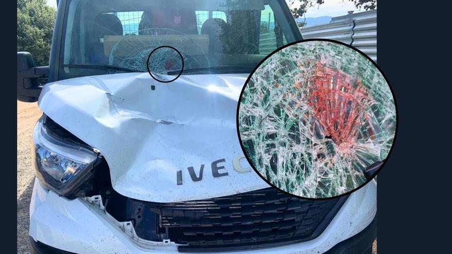 Absuelto de atropellar y matar a un camionero porque pensó que &quot;era un jabalí&quot;