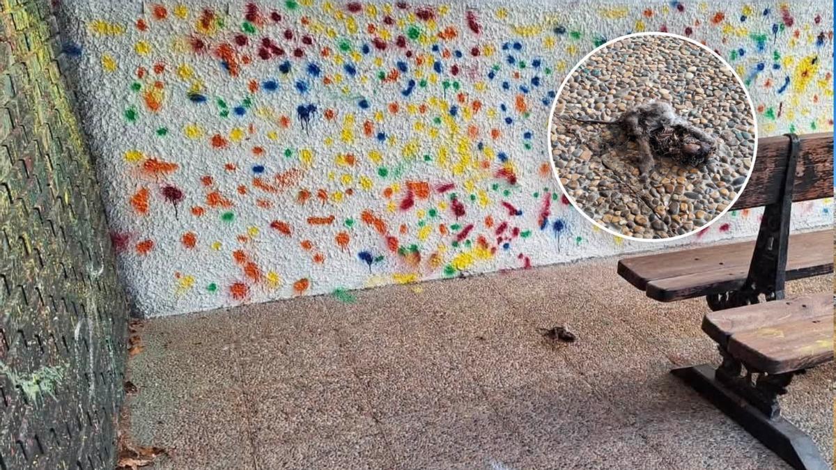 Una rata muerta en el patio del colegio.