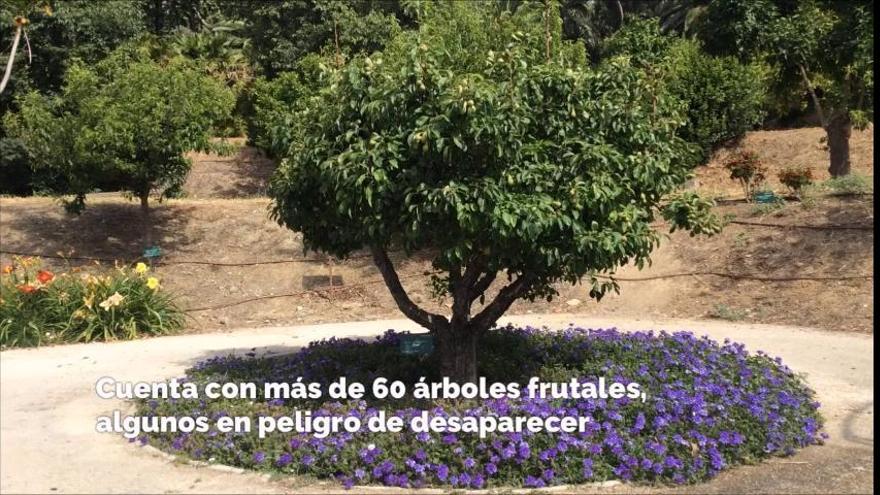 La Concepción estrena el Jardín de los Sentidos