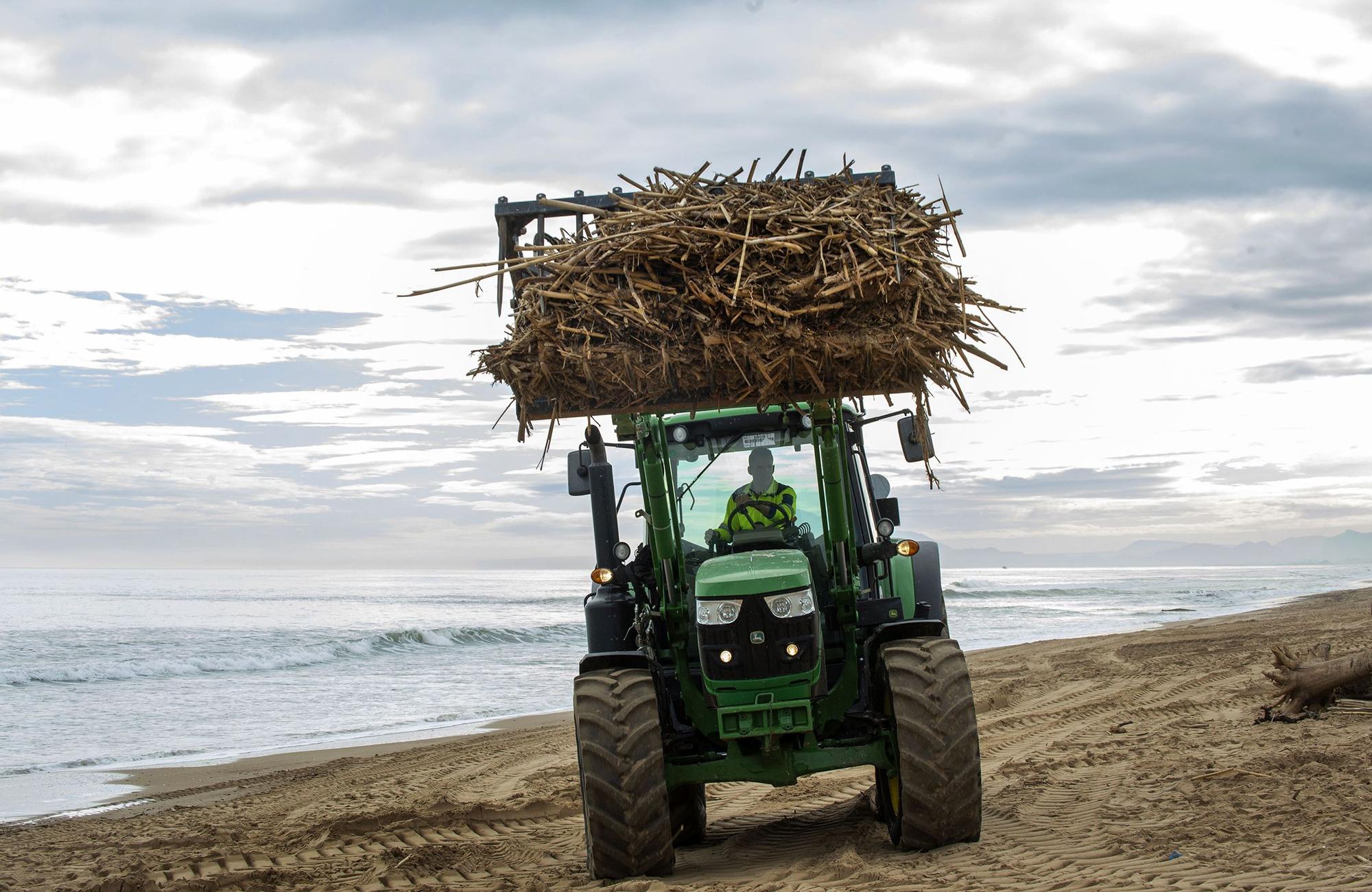 Comienza la limpieza de las playas de la Safor tras la dana