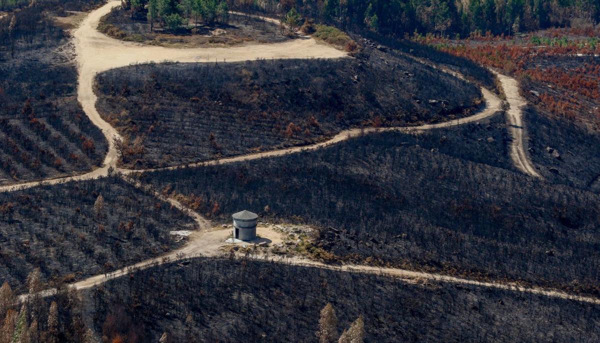 Un incendio calcinó buena parte del monte Xiabre en agosto pasado.   | // IÑAKI ABELLA