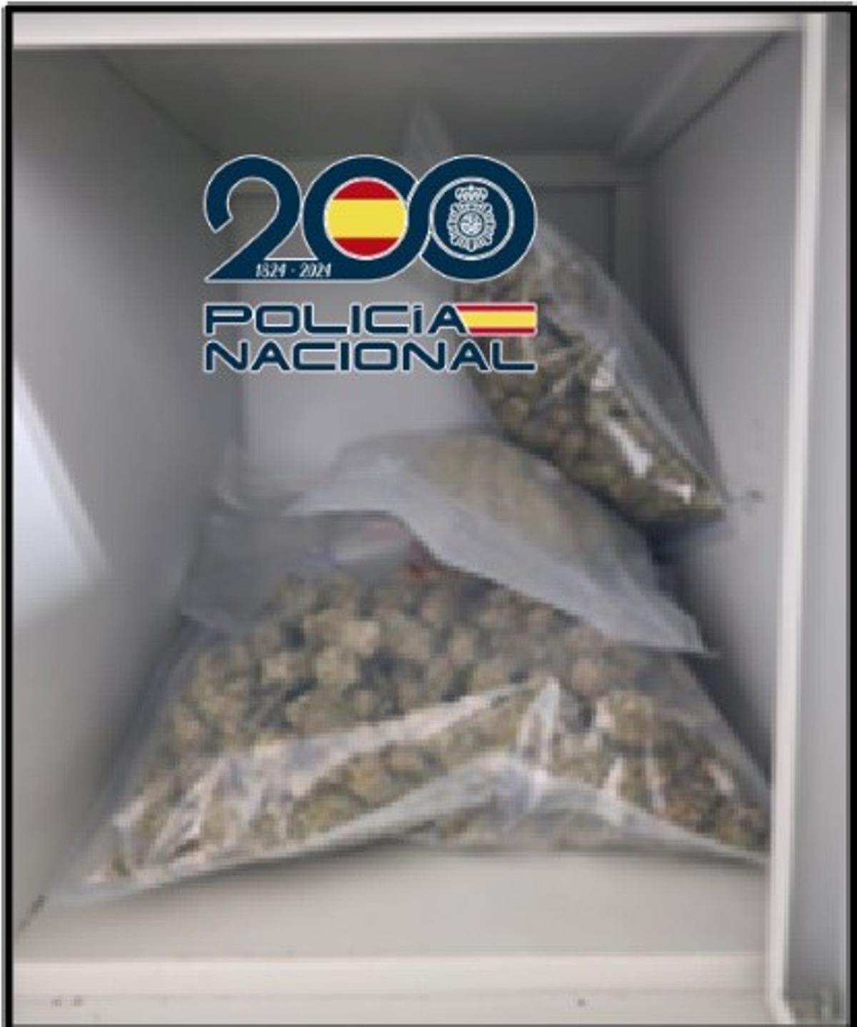 Cogollos intervenidos.