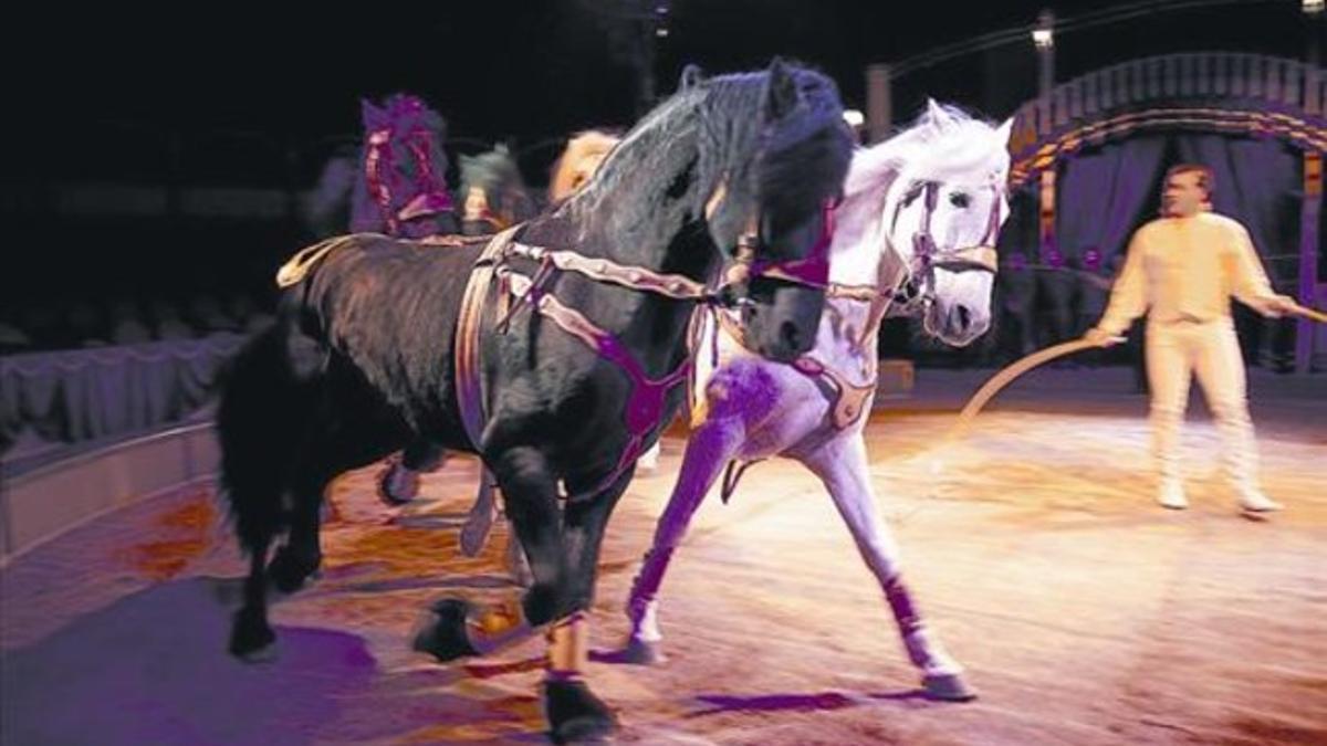 Ensayo de un espectáculo con caballos del Circo Italiano, en la plaza de toros Monumental, el 2010.