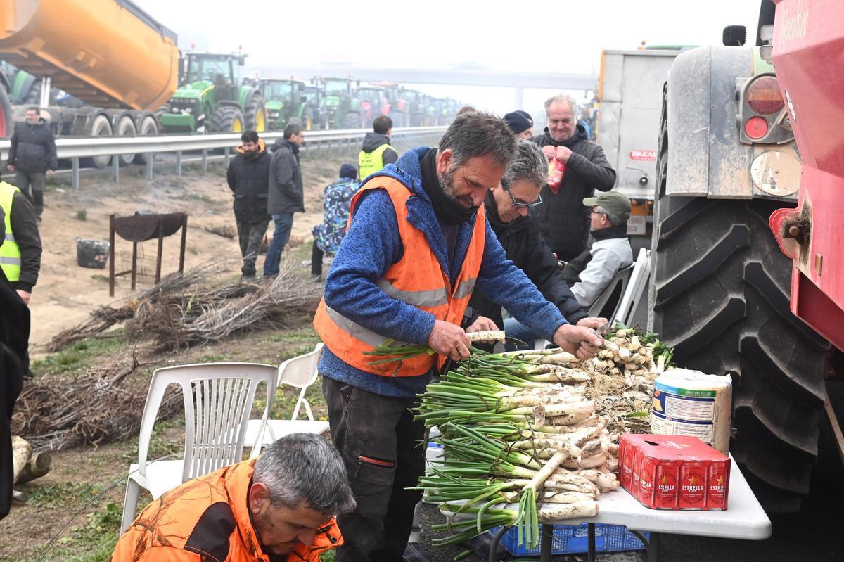 Agricultores catalanes protestan en Fondarella, en el Pla dUrgell (Lleida)