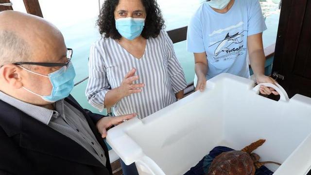 Momento en el que embarcan a la tortuga en el "Chasula".