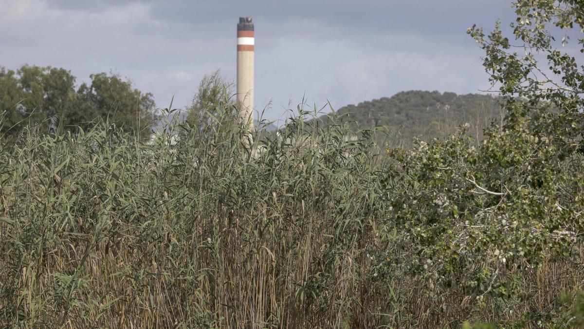 S’Albufera de Mallorca