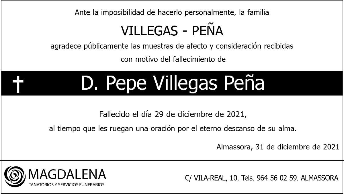 D. Pepe Villegas Peña