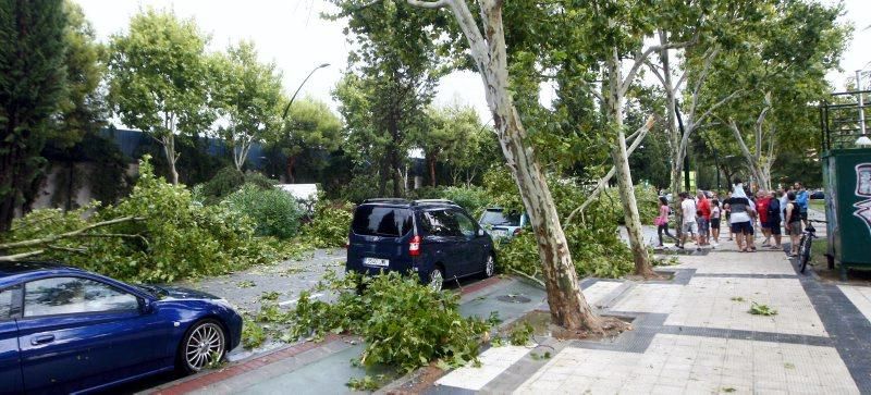 Fuerte tormenta en Zaragoza