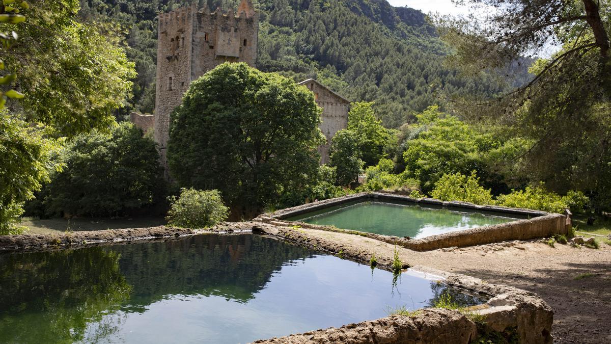 Ruinas del monasterio de Santa Maria de la Murta.