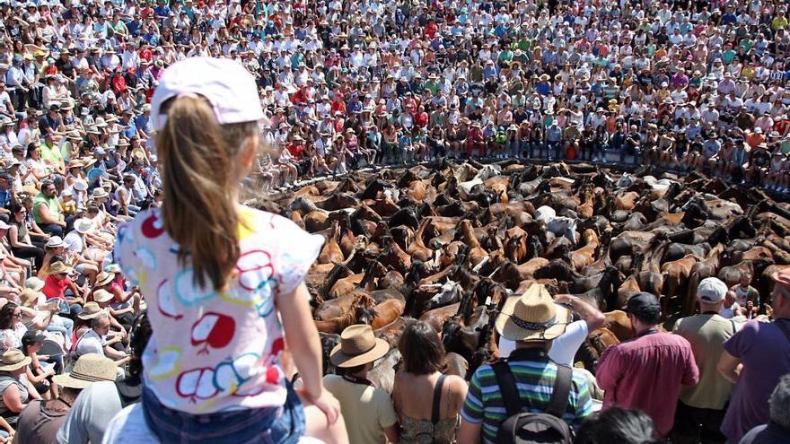 Uno de los curros de la última Rapa das Bestas de Sabucedo, a las que acuden cada año miles de personas. // Bernabé / Juan Carlos Asorey