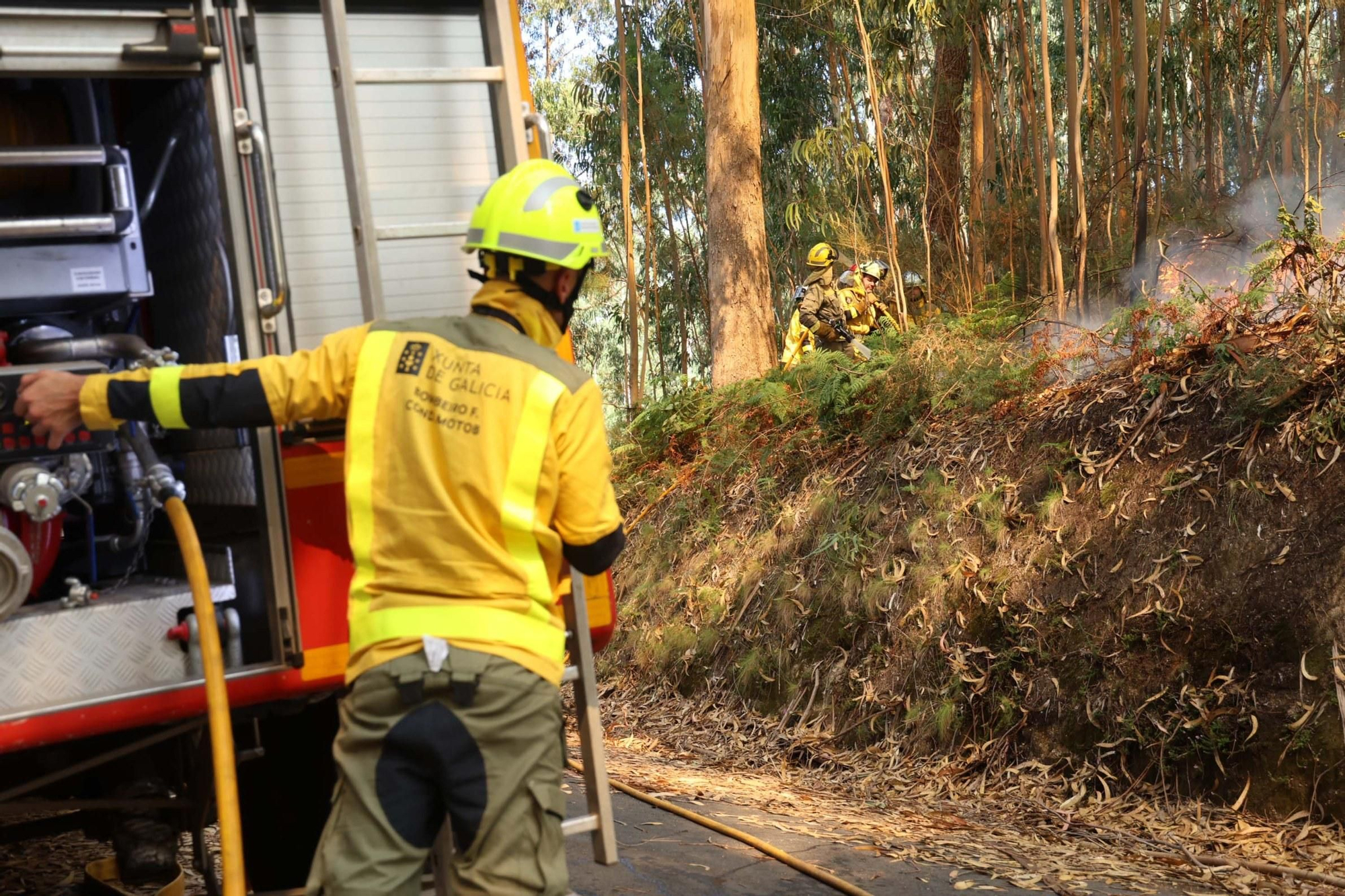 Espectacular incendio forestal en Meaño