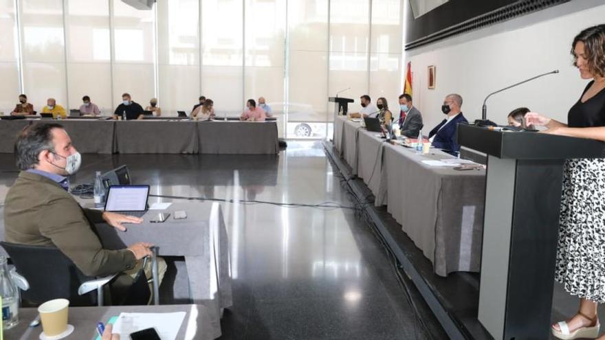 El pleno extraordinario en el Centro de Congresos.