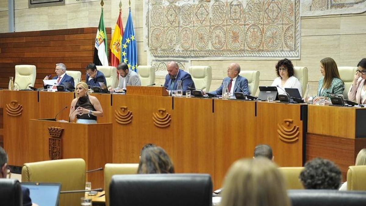La consejera de Hacienda, Administración Pública y Diálogo Social, Elena Manzano, interviene en el pleno de presupuestos de la Asamblea de Extremadura.