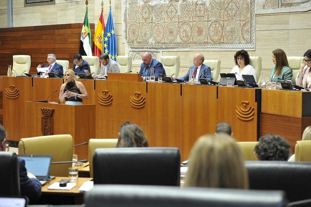 La consejera de Hacienda, Administración Pública y Diálogo Social, Elena Manzano, interviene en el pleno de presupuestos de la Asamblea de Extremadura.