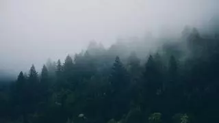 La inteligencia artificial inspirada en el cerebro consigue ver a través de la niebla