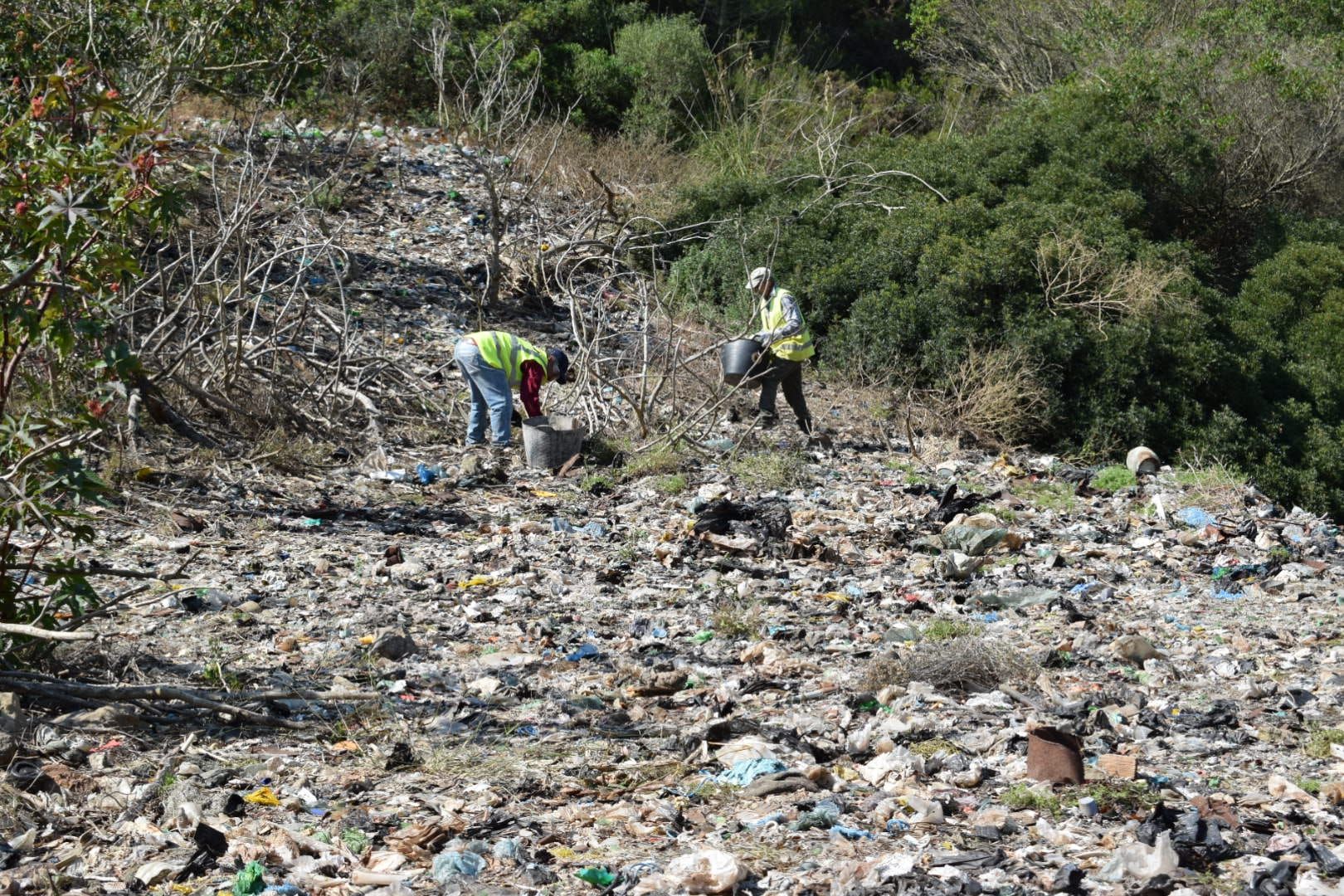 El ayuntamiento de Felanitx recoge veinte toneladas de basura en el vertedero ilegal