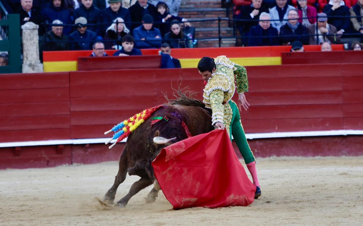 La extraordinaria embestida de ‘Cordelero’, número 51, de Cuvillo en la muleta de Emilio de Justo