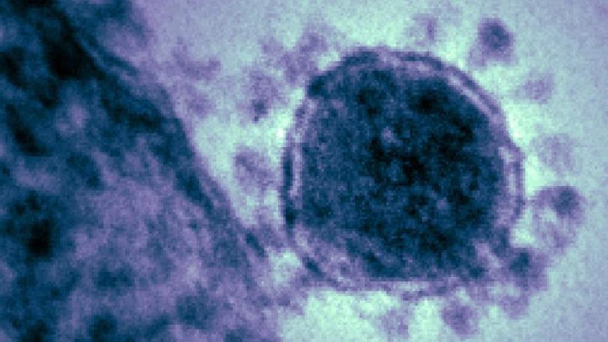 Imatge d&#039;un coronavirus