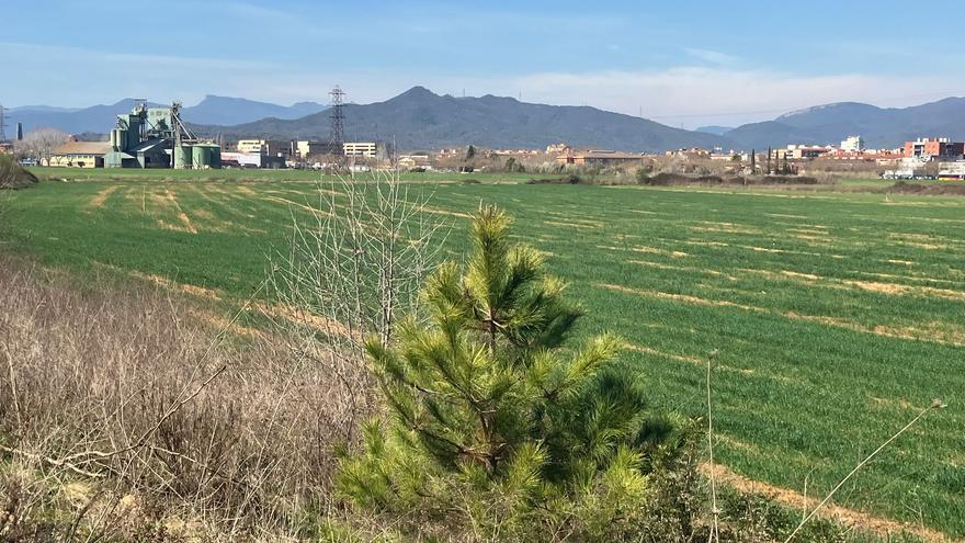 La junta de govern local de Salt aprova l’avanç del pla parcial del sector on es farà el Campus de Salut