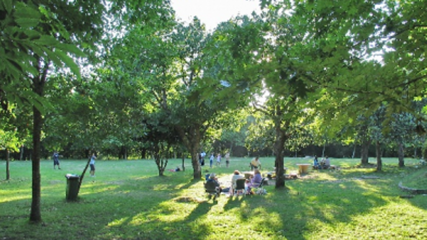 El parque forestal de O Vixiador. // vigo.org