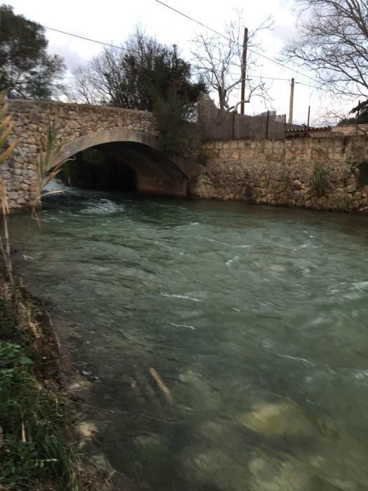 El torrente de Campanet, al máximo de su caudal