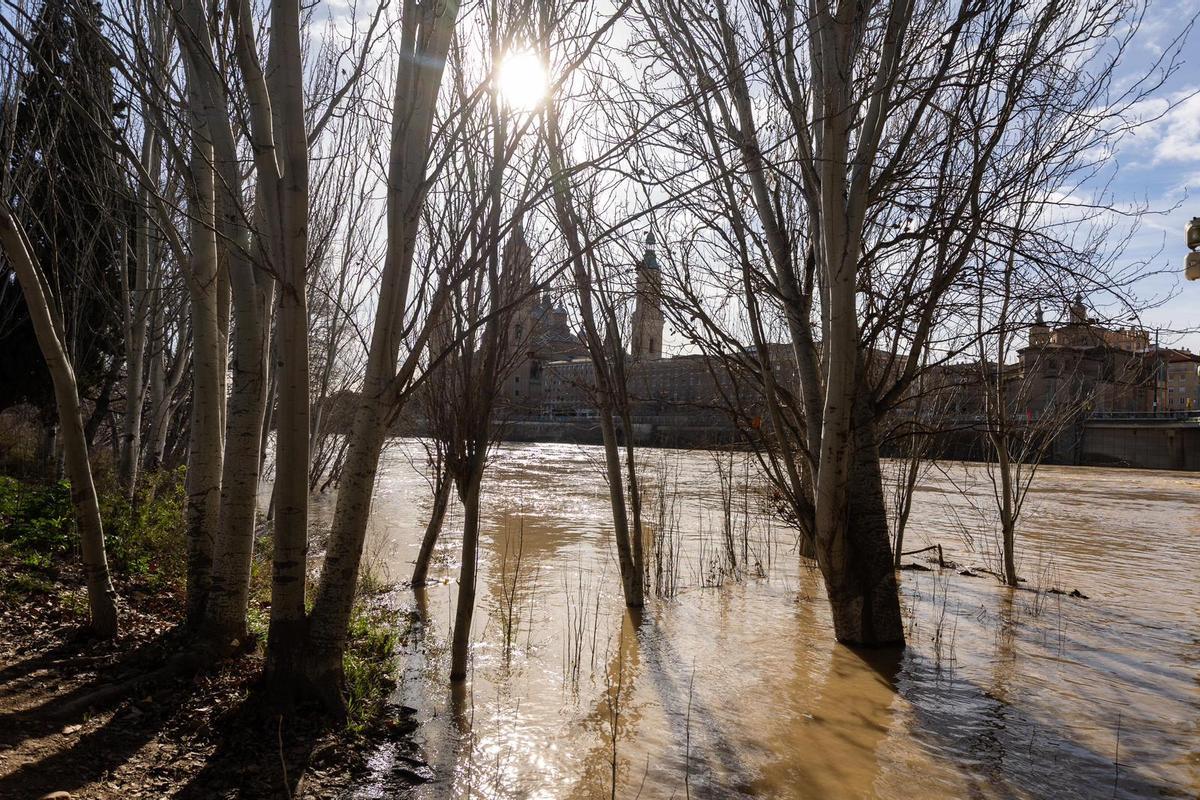 En imágenes I Así está el río Ebro a su paso por Zaragoza este lunes