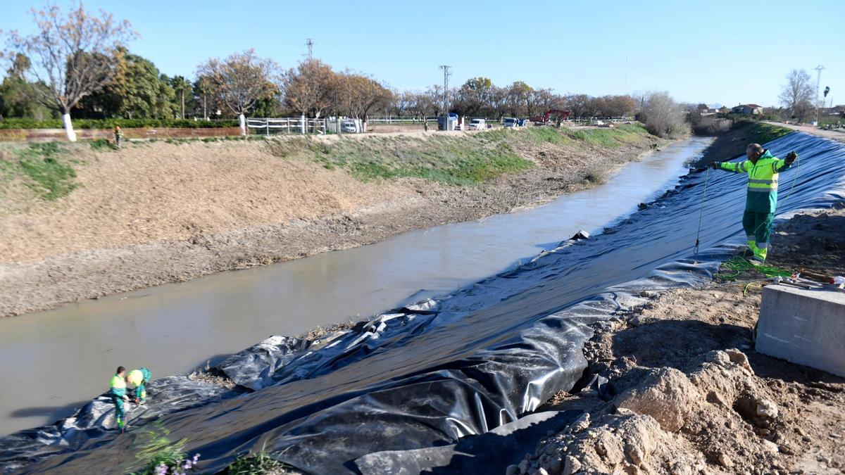 Trabajos de regeneración ambiental en el Meandro del Vivillo.