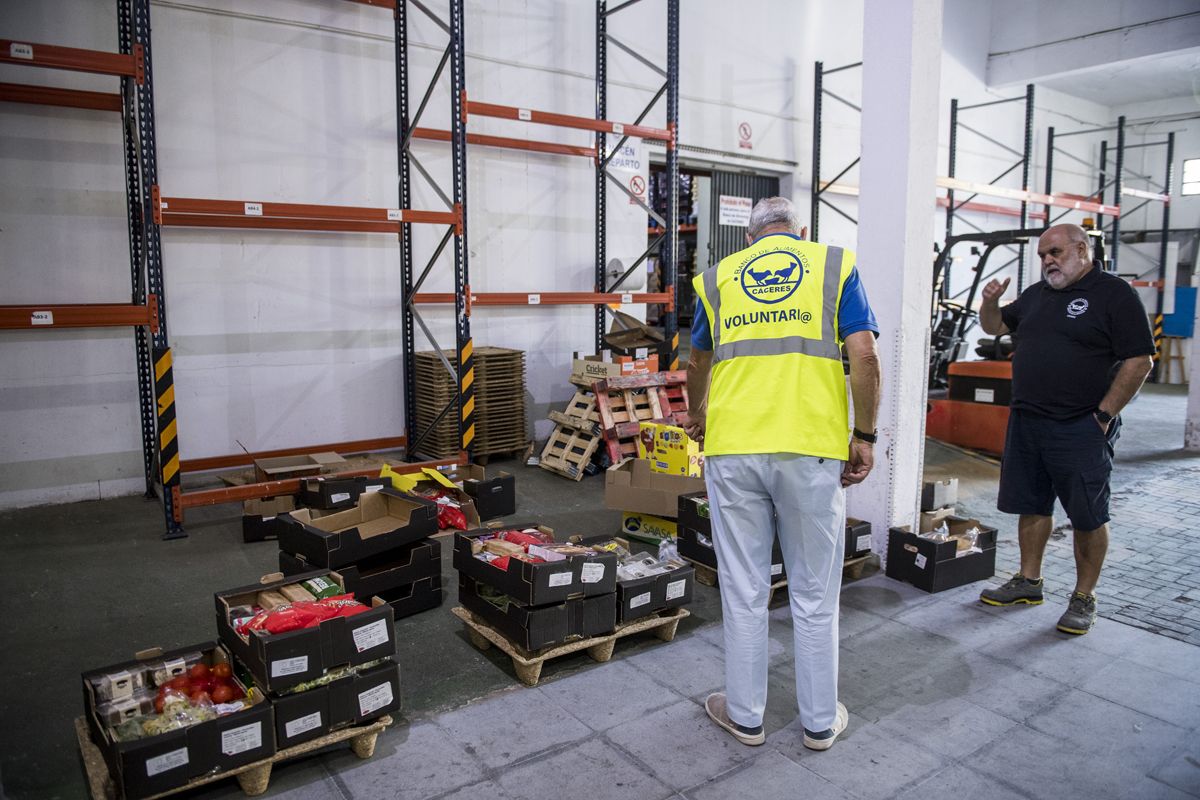 Fotogalería | Una jornada de trabajo en el Banco de Alimentos de Cáceres